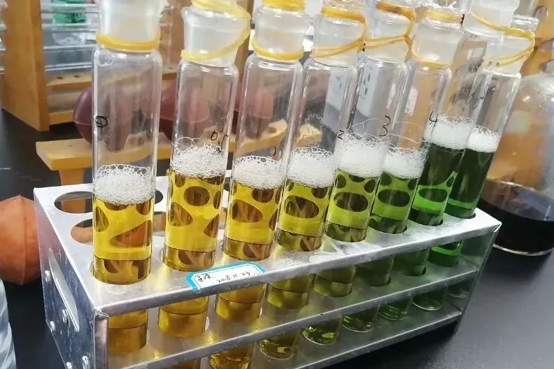 7c290edeaea6d05b53576ffe52fe0a52 3.jpg